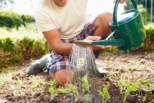 Gardener in Chingford inspecting a front garden