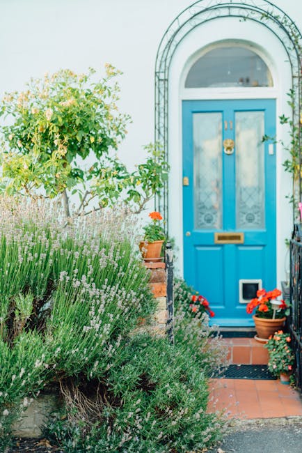 A charming front garden in front of a house with a vibrant blue door, featuring a lush green shrub on the left side and a variety of potted plants with red and orange flowers placed near the entrance.